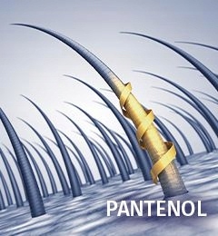 PROXIMUS Olejek modelujący Oil Non Oil 200 ml Kod producenta Oil Non Oil