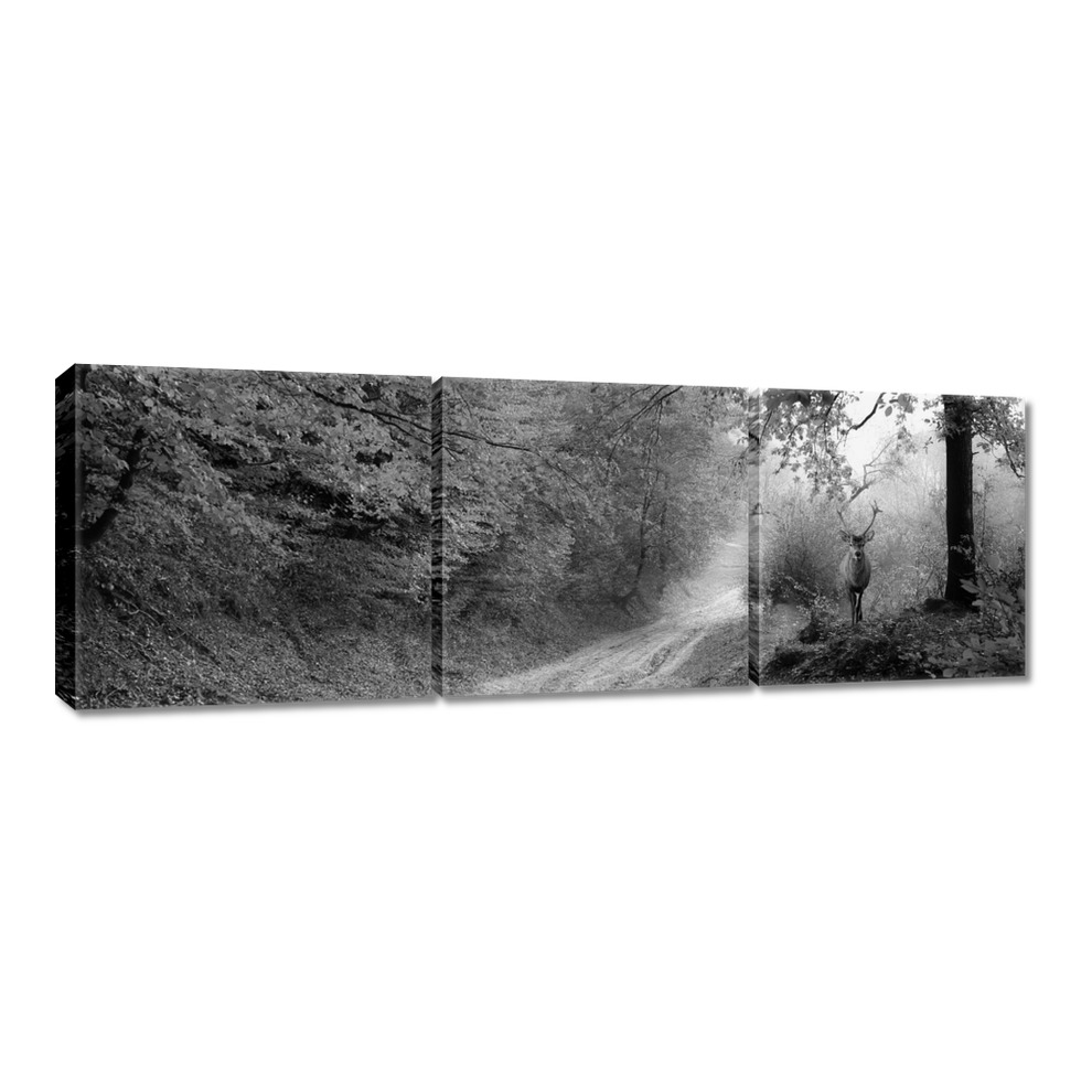 

Obrazy 60x20 Jeleń w lesie
