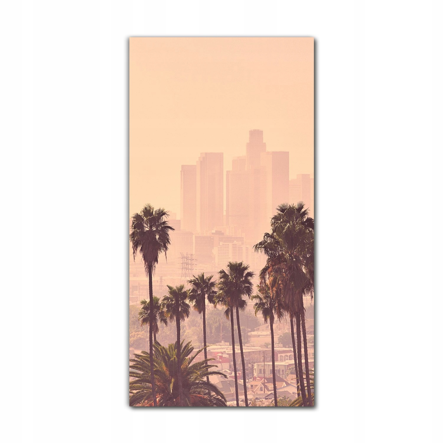 

Foto na szkle na ścianę 70x140 Los Angeles widok