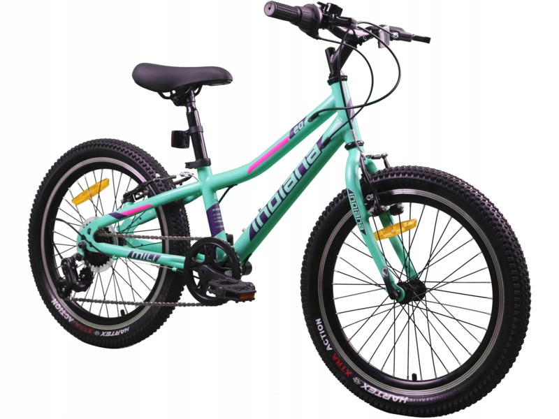 Rower dziecięcy Indiana Mili 20 cali dla dziewczynki Miętowy