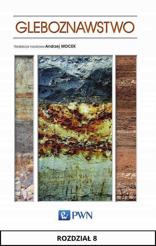 GLEBOZNAWSTWO. ROZDZIAŁ 8 JERZY MARCINEK EBOOK