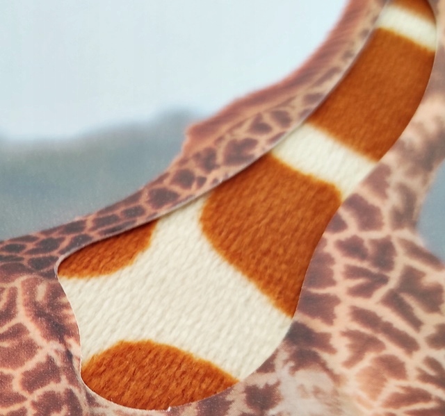 KSIĄŻECZKA KSIĄŻKA POGŁASZCZ ZWIERZĘTA ŚWIATA Płeć chłopcy dziewczynki