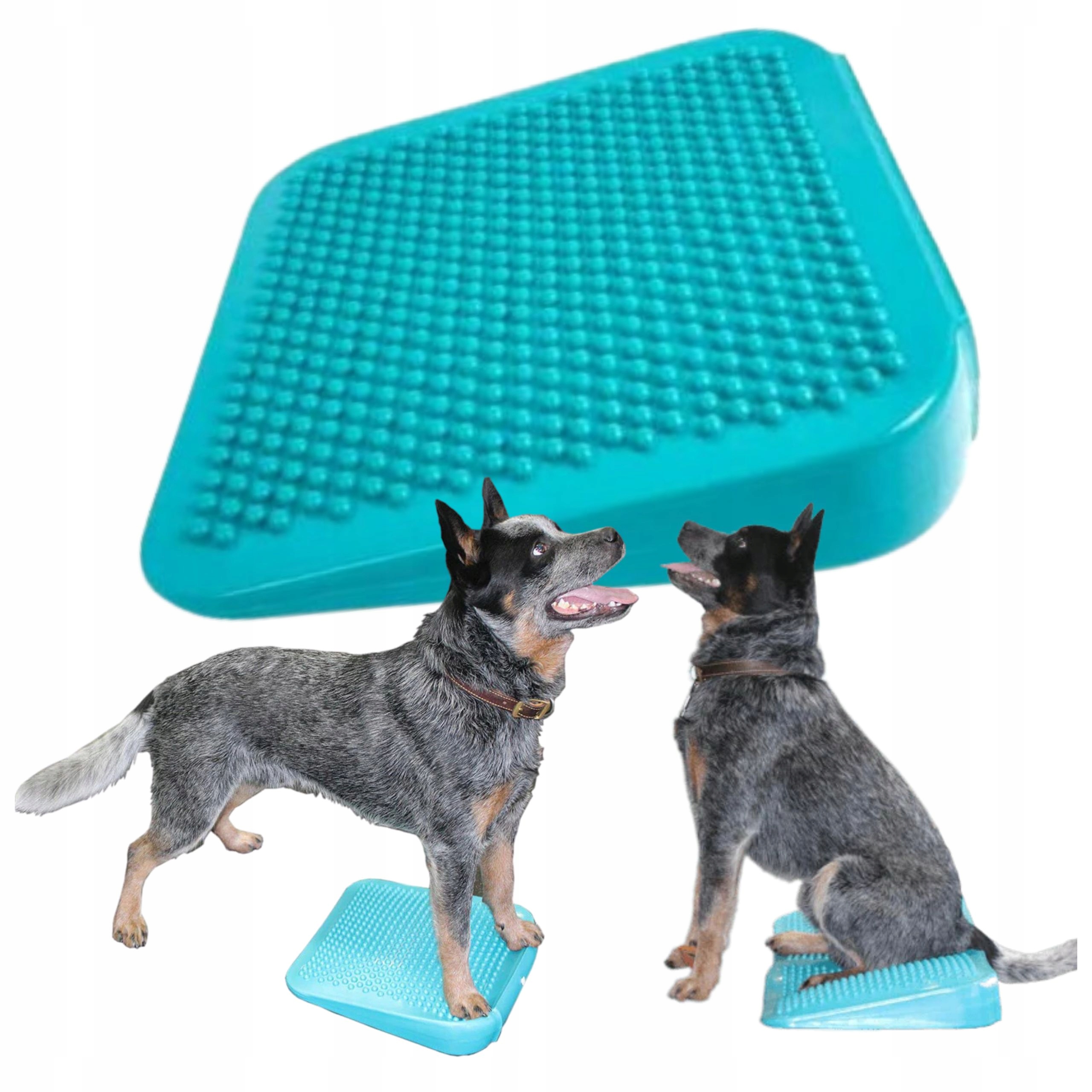 Levně Fitpaws Balance Rampa ekvivalentní fitness pro psí fitness 35 cm