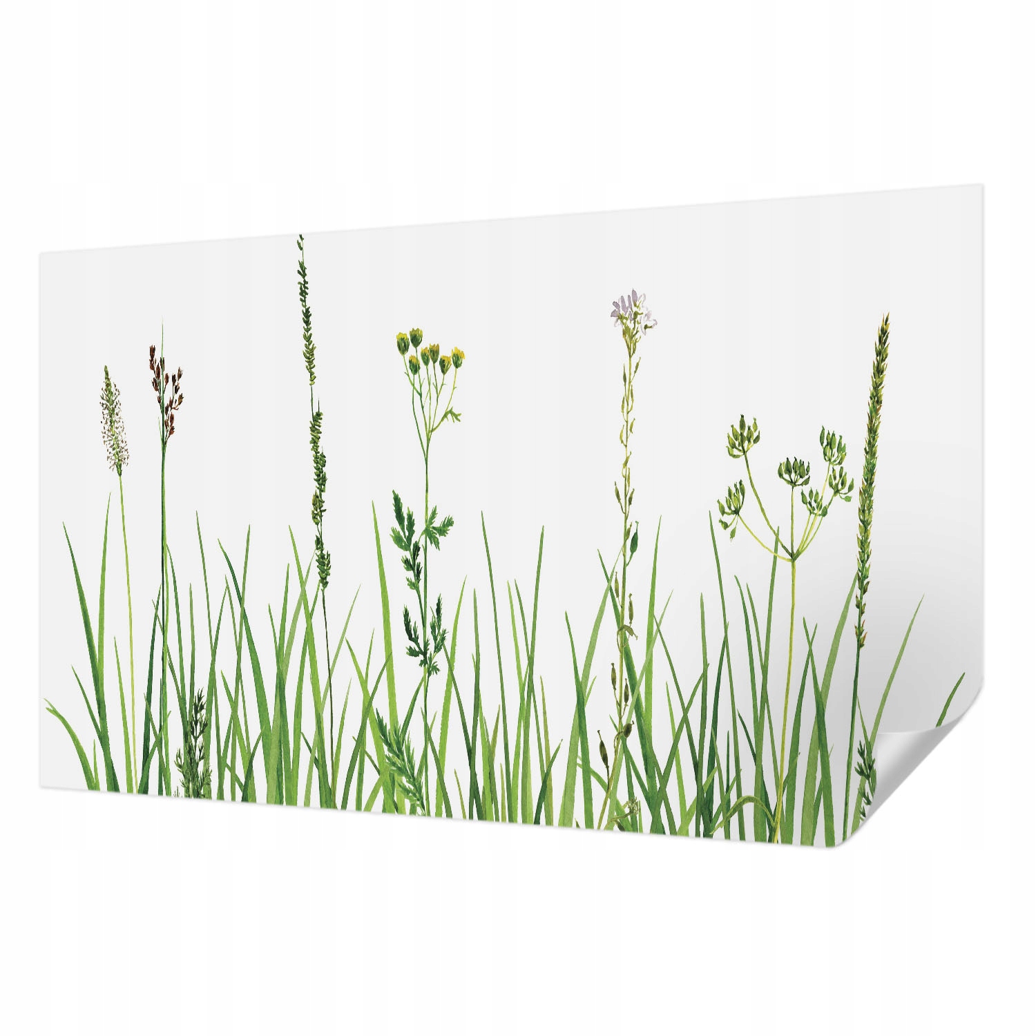 Samolepicí Fototapeta Rychlá Odrůda Stěny Jemná Flora 416x254 cm