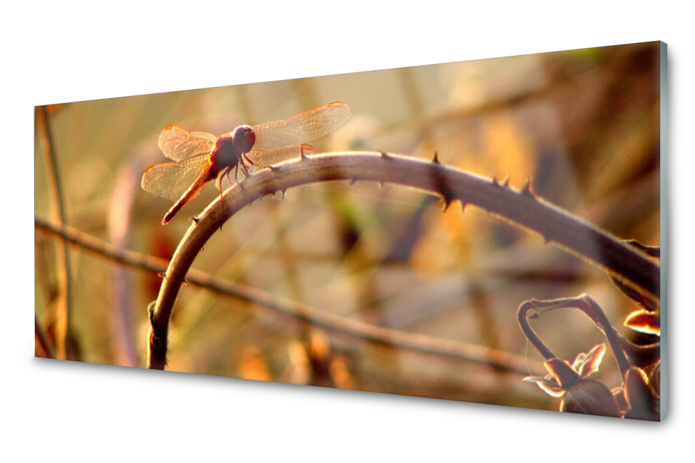 

Panel szklany do kuchni Ważka Roślina 125x50