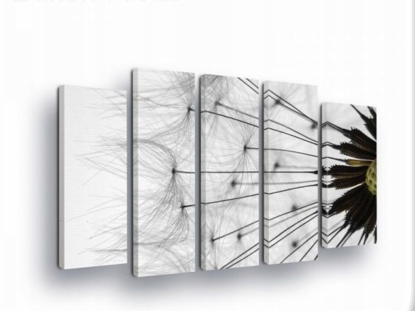Obraz 150x100 Miernosť krehkosť príroda púpava semená pokoj minimalizmus