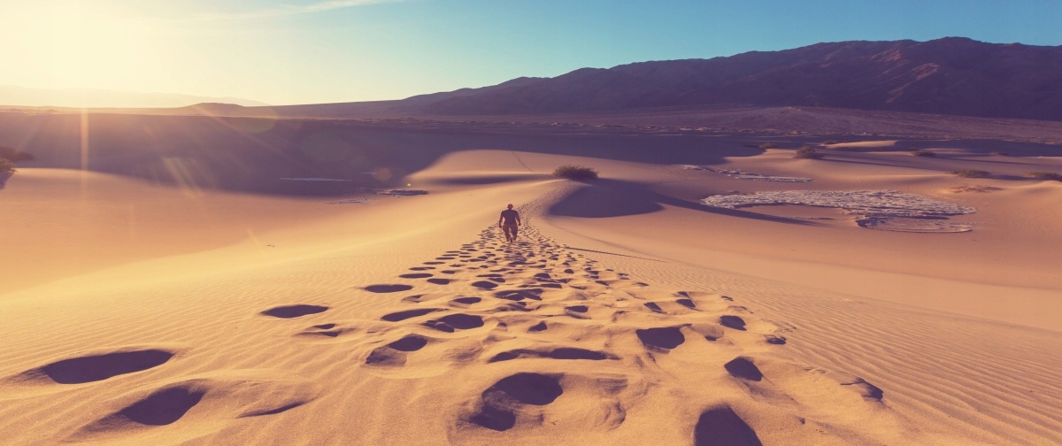 

Tapeta Flizelinowa Piaszczysta pustynia 250x104