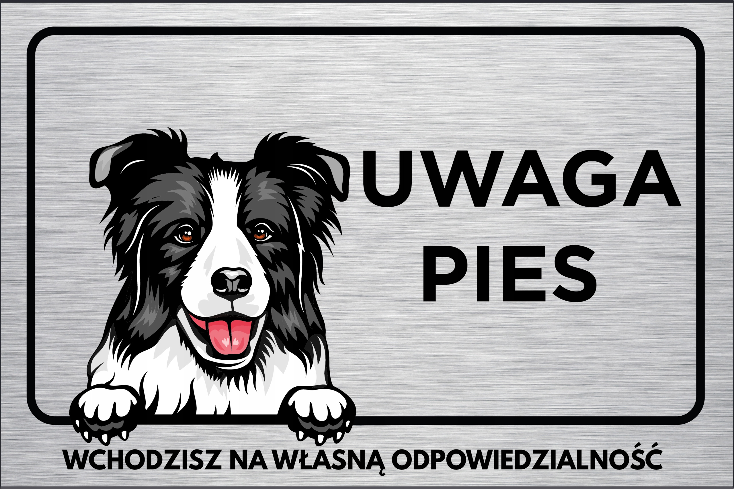 

Tabliczka Uwaga Pies Border Collie 30x20 druk Uv