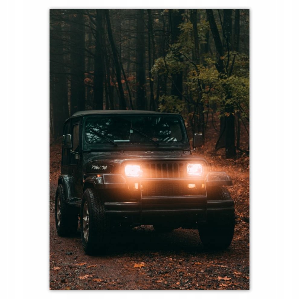 

Naklejki 50x70 Motoryzacja Samochód Auta