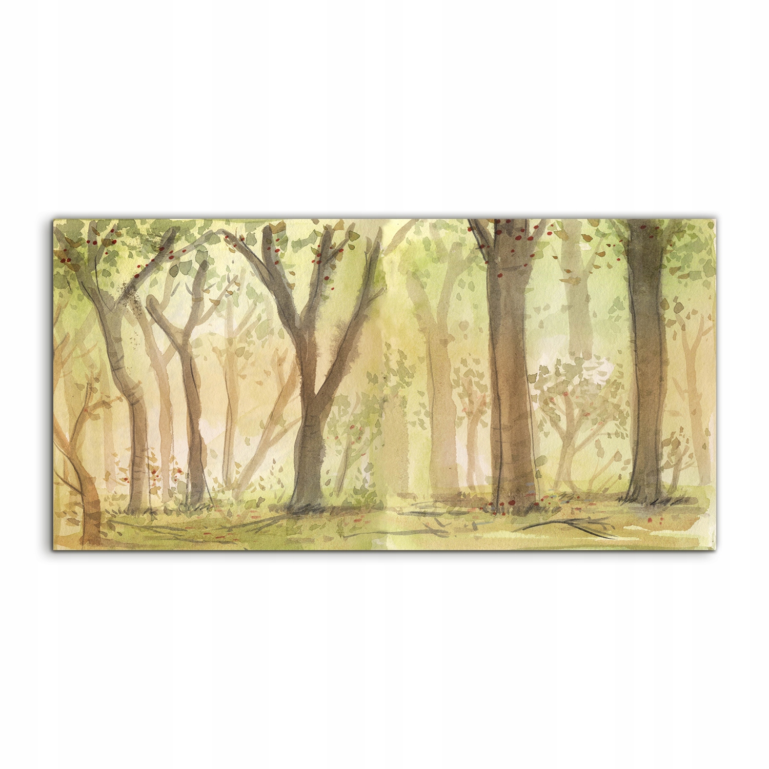 

Obraz akryl 100x50 z grafiką Las Drzewa Akwarele