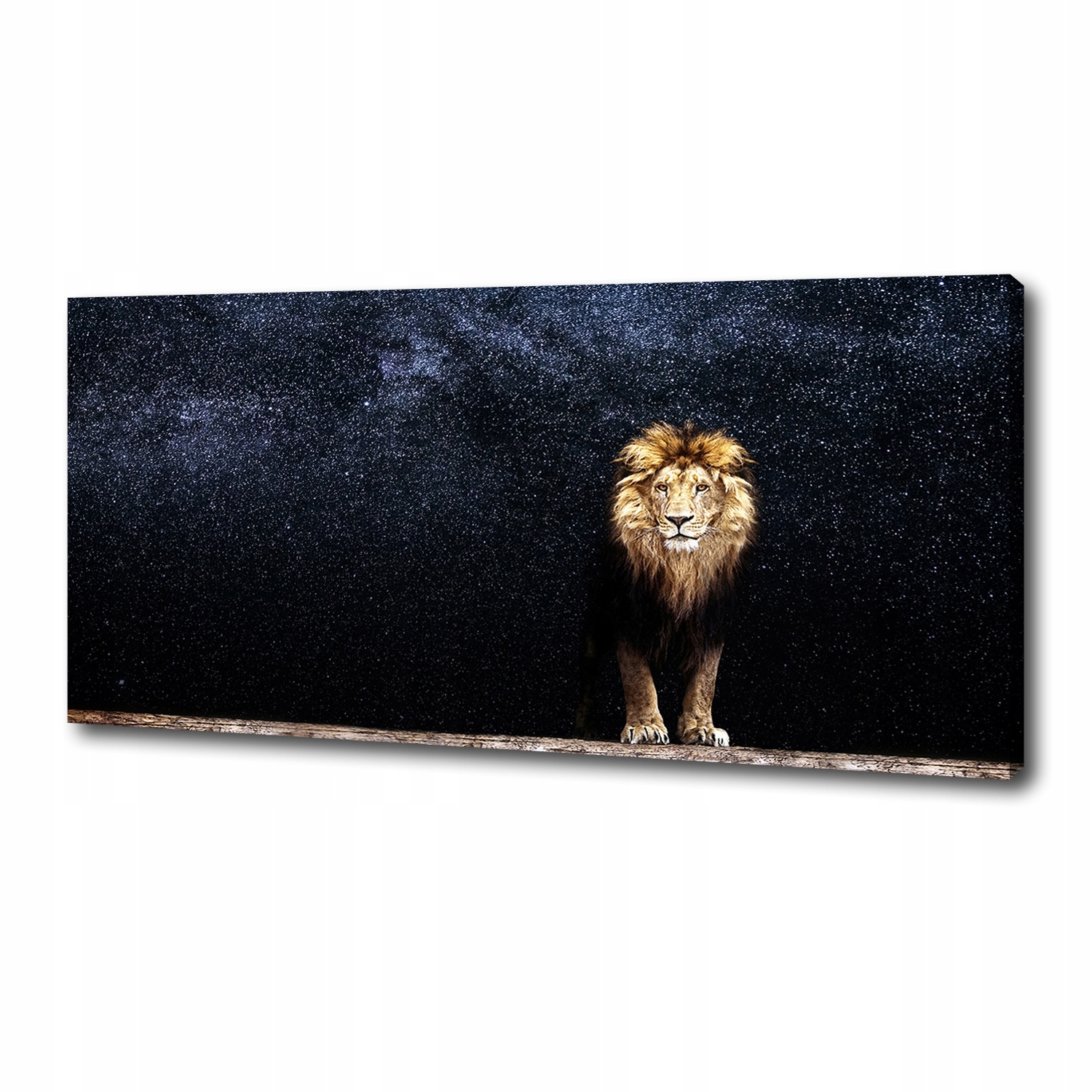 

Foto obraz na płótnie Lew na tle gwiazd 125x50 cm