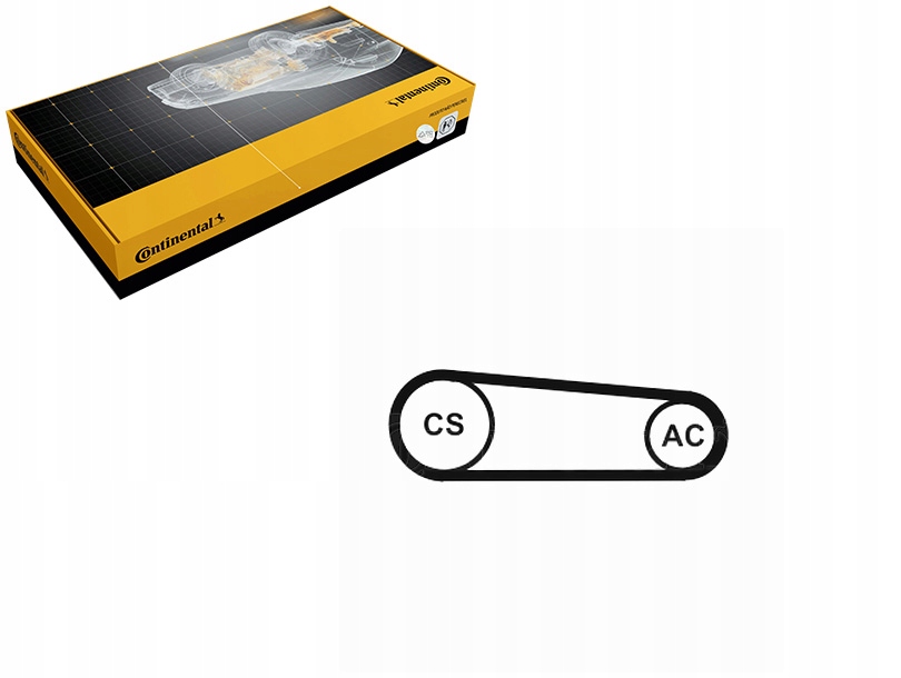 PASEK KLINOWY FIAT STILO 1.6 10.01-08.08 CONTINENTAL CTAM