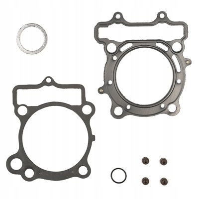 Prox Tesnenia Top-end Suzuki Rmz 250 07-09