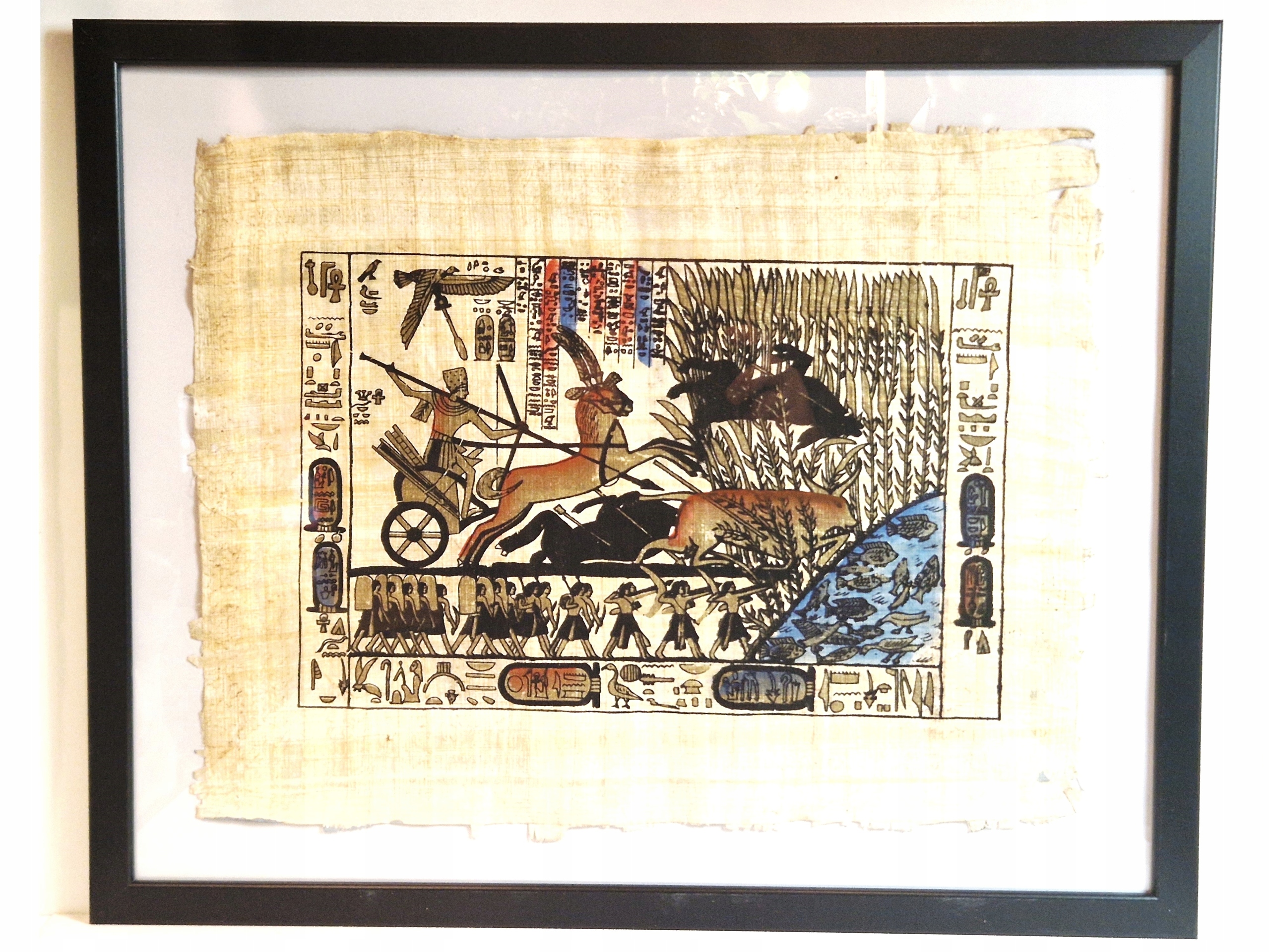 53,0cm x 43,0cm / PAPIRUS - OBRAZ W OSZKLONEJ RAMIE PAMIĄTKA Z EGIPTU /8736