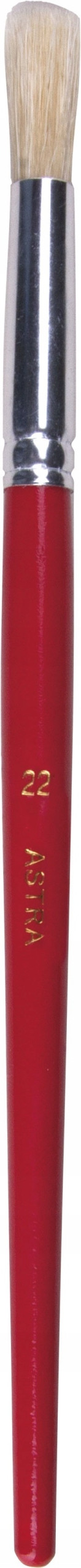 PĘDZELEK DO MALOWANIA ASTRA DO PRAC PLASTYCZNYCH Marka Astra