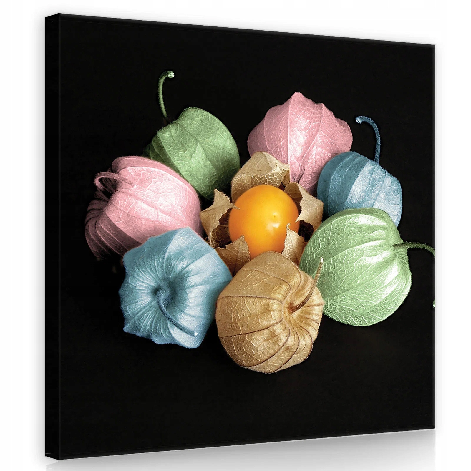 Obraz Na Plátně Canvas 80x80 Mochyně Physalis