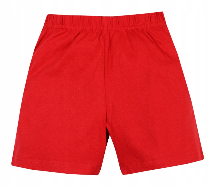 SONIC HEDGEHOG PIŻAMA CHŁOPIĘCA ZESTAW SPODENKI T-SHIRT BAWEŁNA EKO BIO 128 Kod producenta EX2122