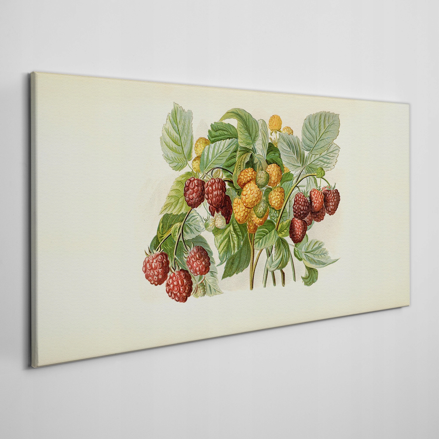 

Ścienny fotoobraz na płótnie Owoce jagody 140x70