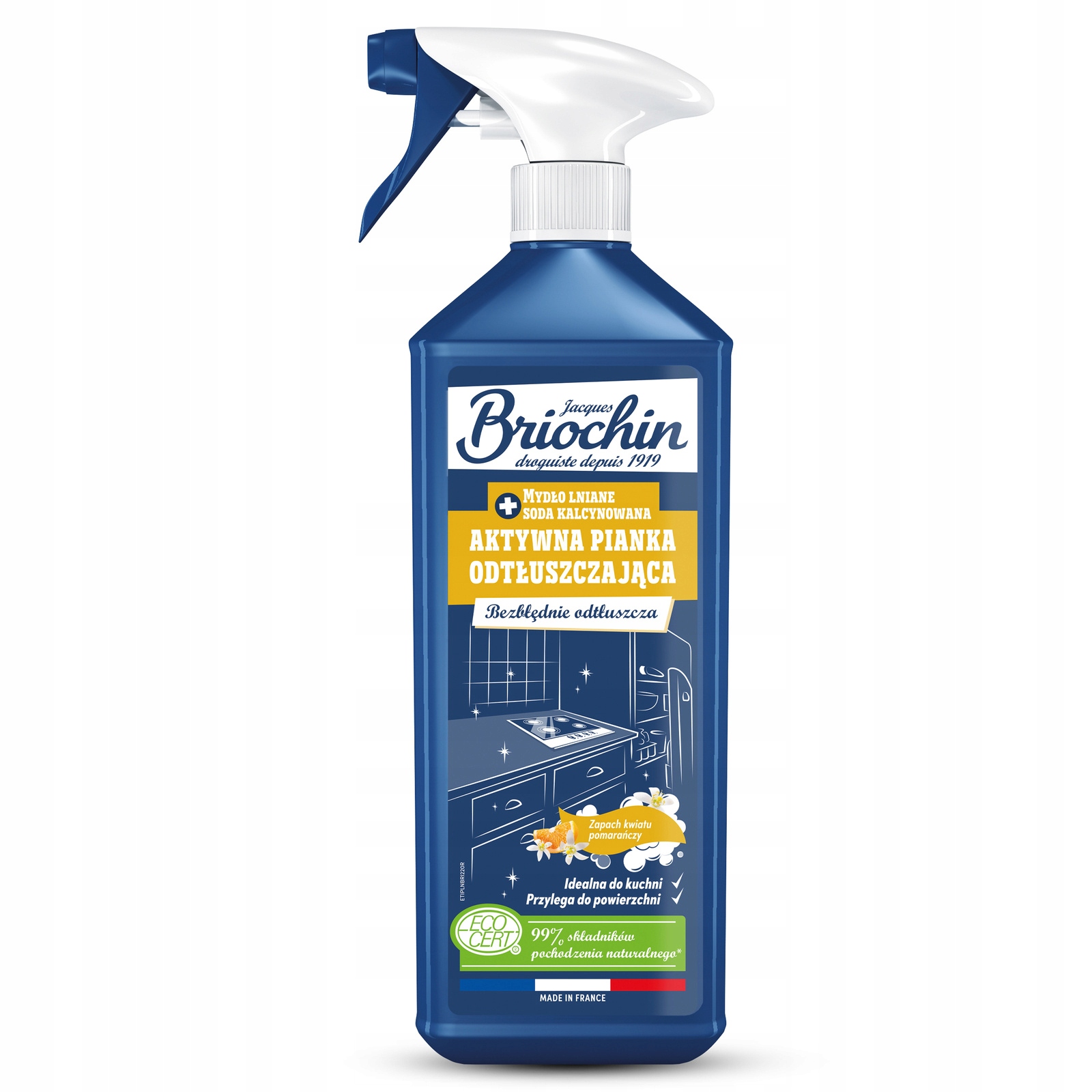

Aktywna Pianka Odtłuszczająca 750 ML Briochin