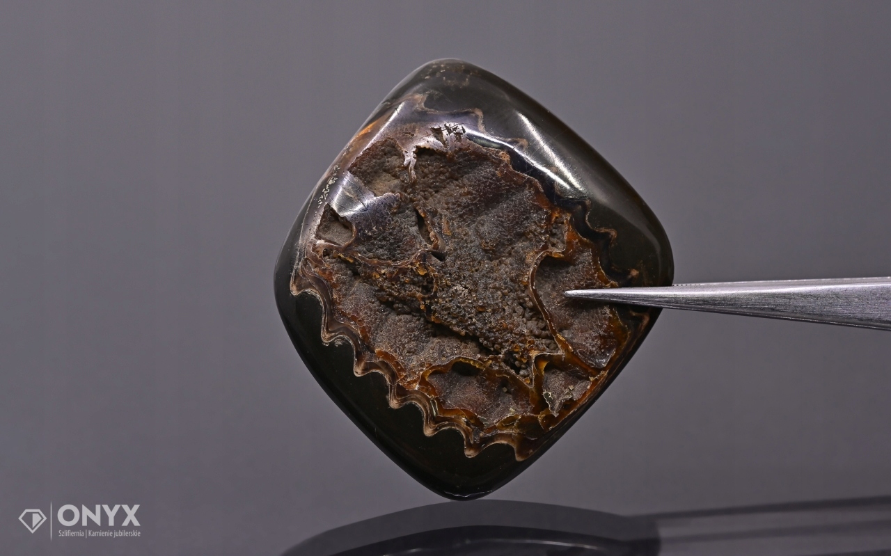 Amonit spiritizovaný nepravidelný 41x40 mm