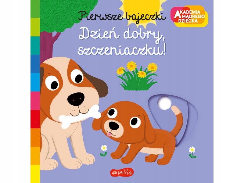 

Książka dla dzieci Akademia mądrego dziecka