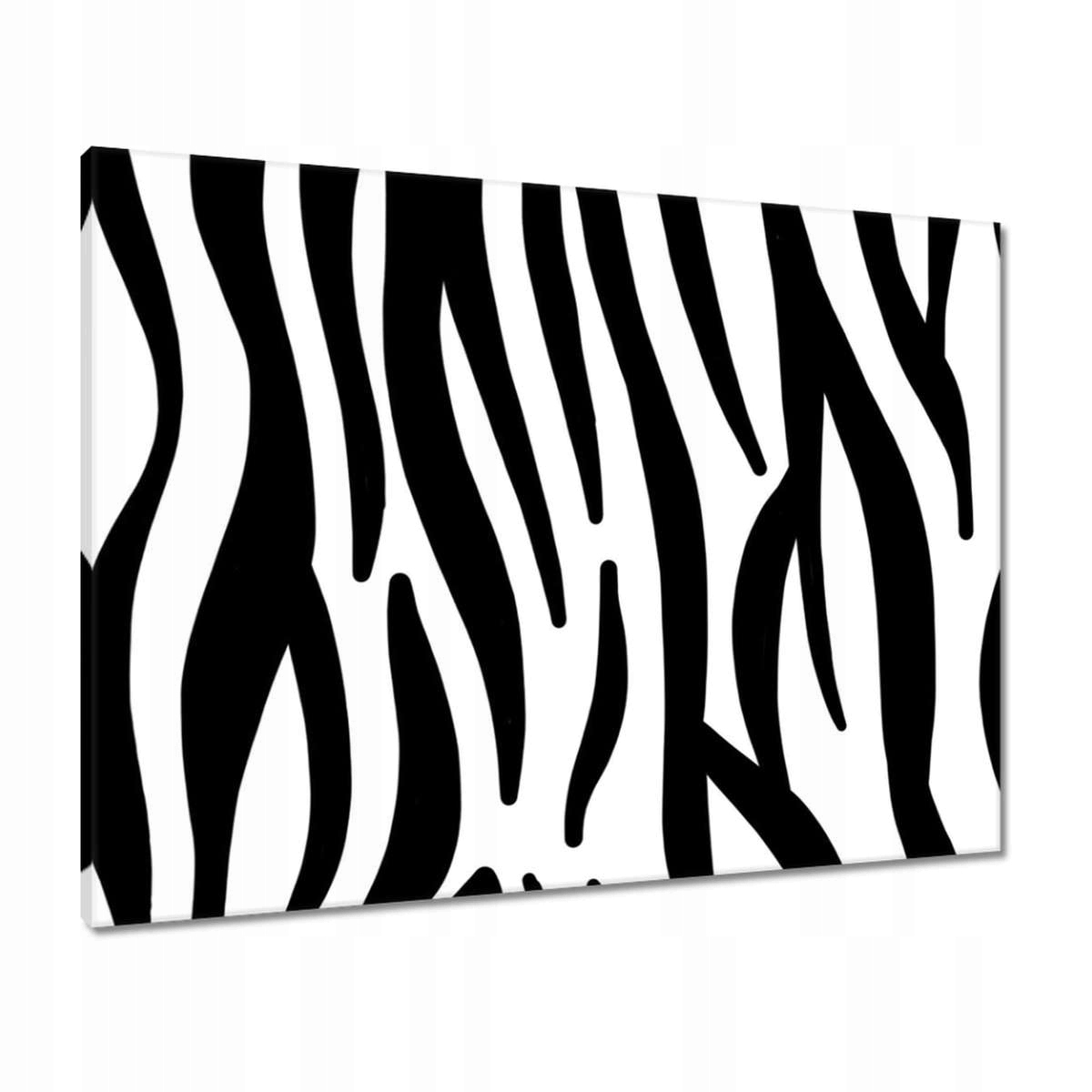 Obrazy 80x60 Zebra Pruhy