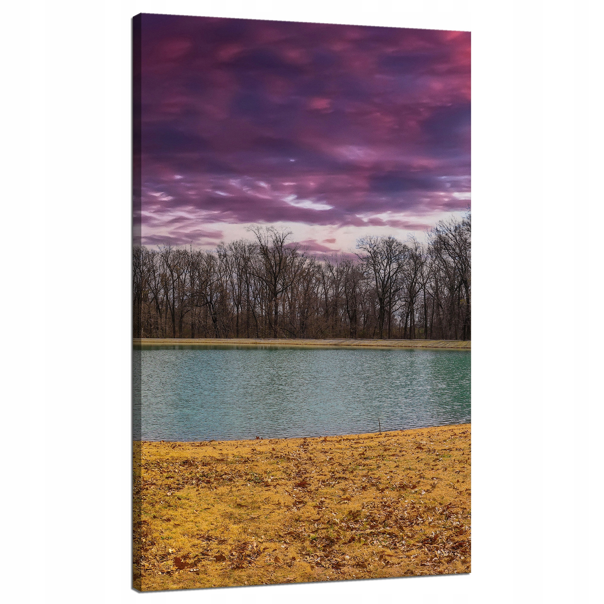 Obraz na plátně Fialové nebe Rybník Stromy Podzim 70x120 cm