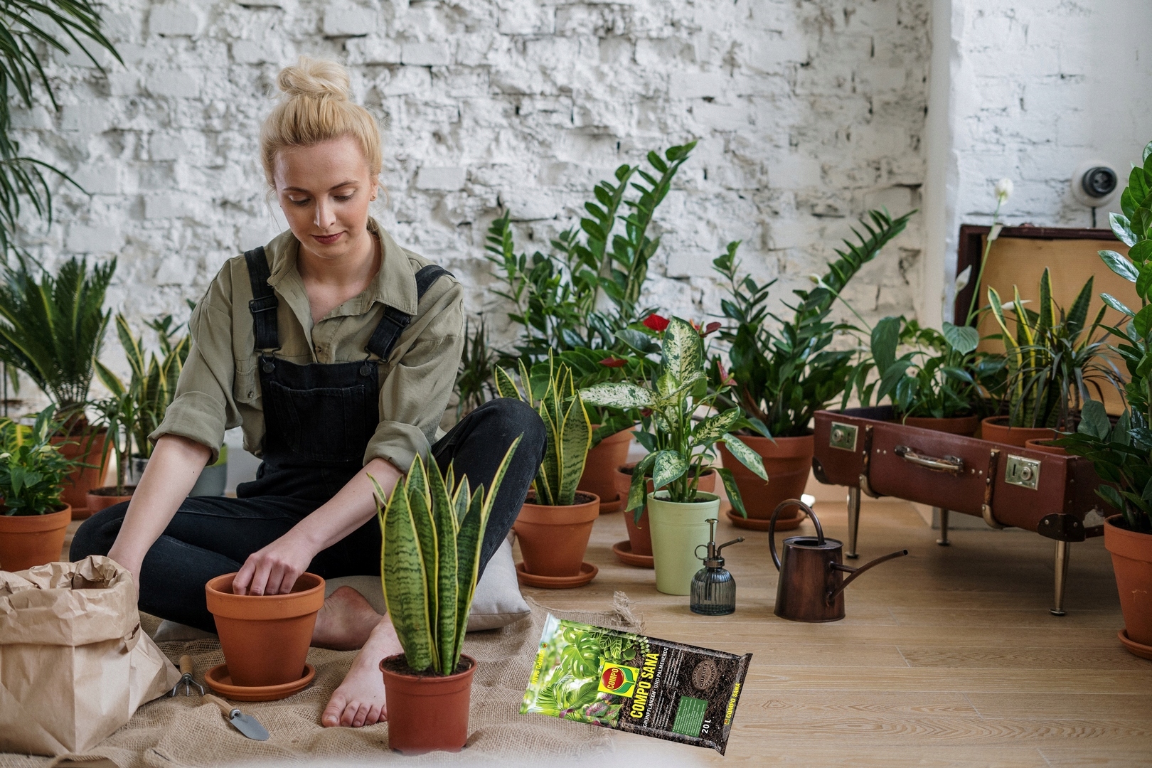 ZIEMIA do roślin zielonych i palm 10L COMPO Rodzaj ziemia uprawna