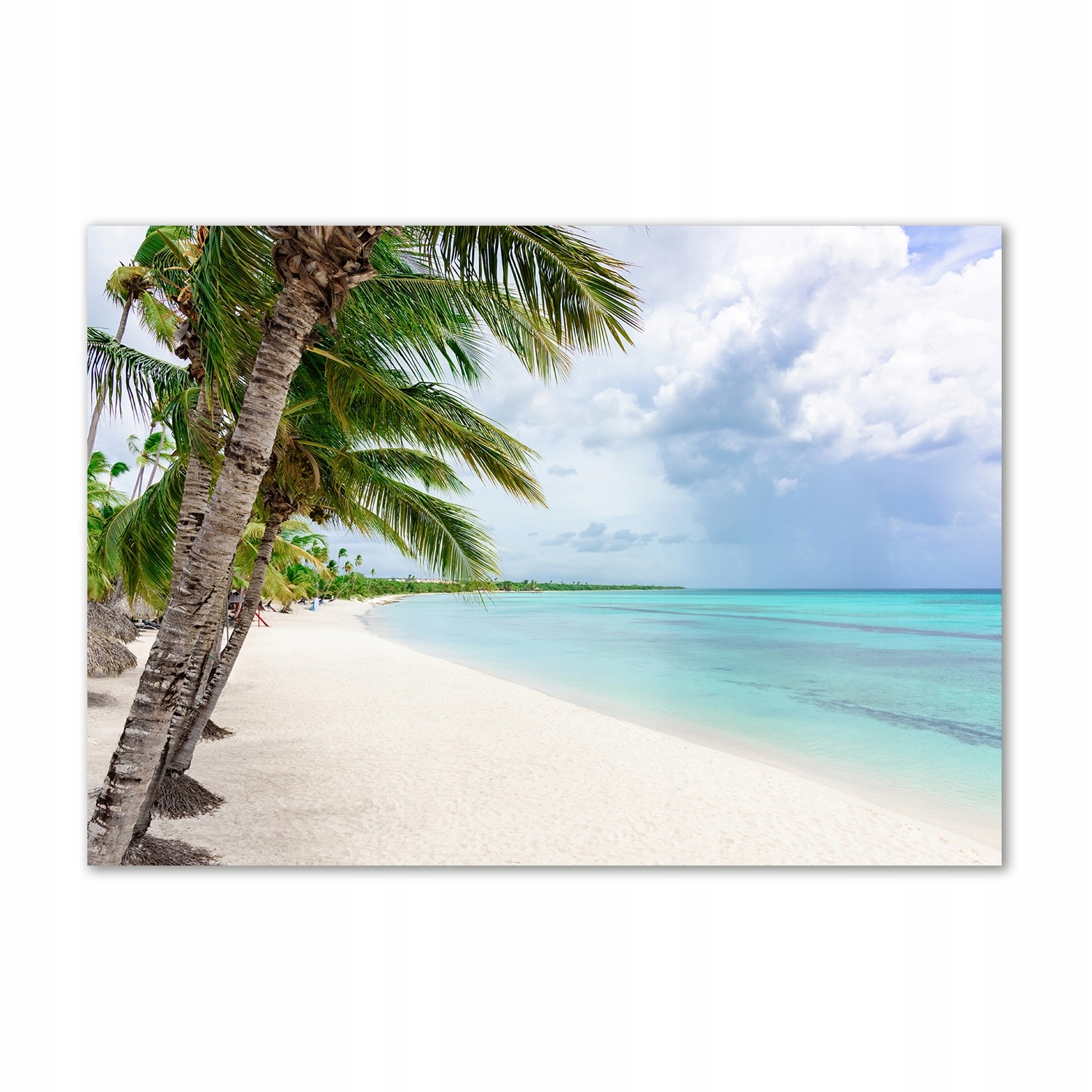 

Foto obraz szkło akrylowy Tropikalna plaża 100x70