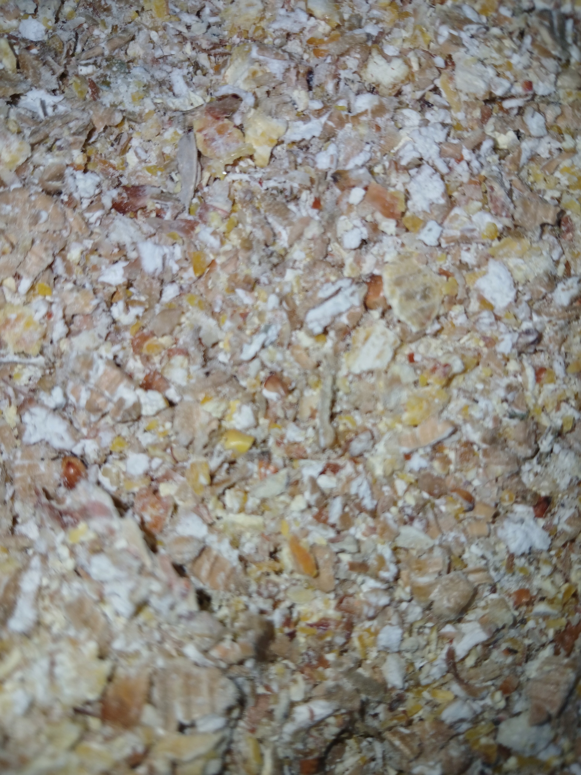 Karma Pasza Naturalna Gnieciona Ziarno dla kur niosek, kaczek gęsi 10kg EAN (GTIN) 5906657815439