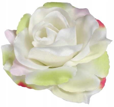 

Róża Główka Wyrobowa Biała Cieniowana 10 cm/12 szt