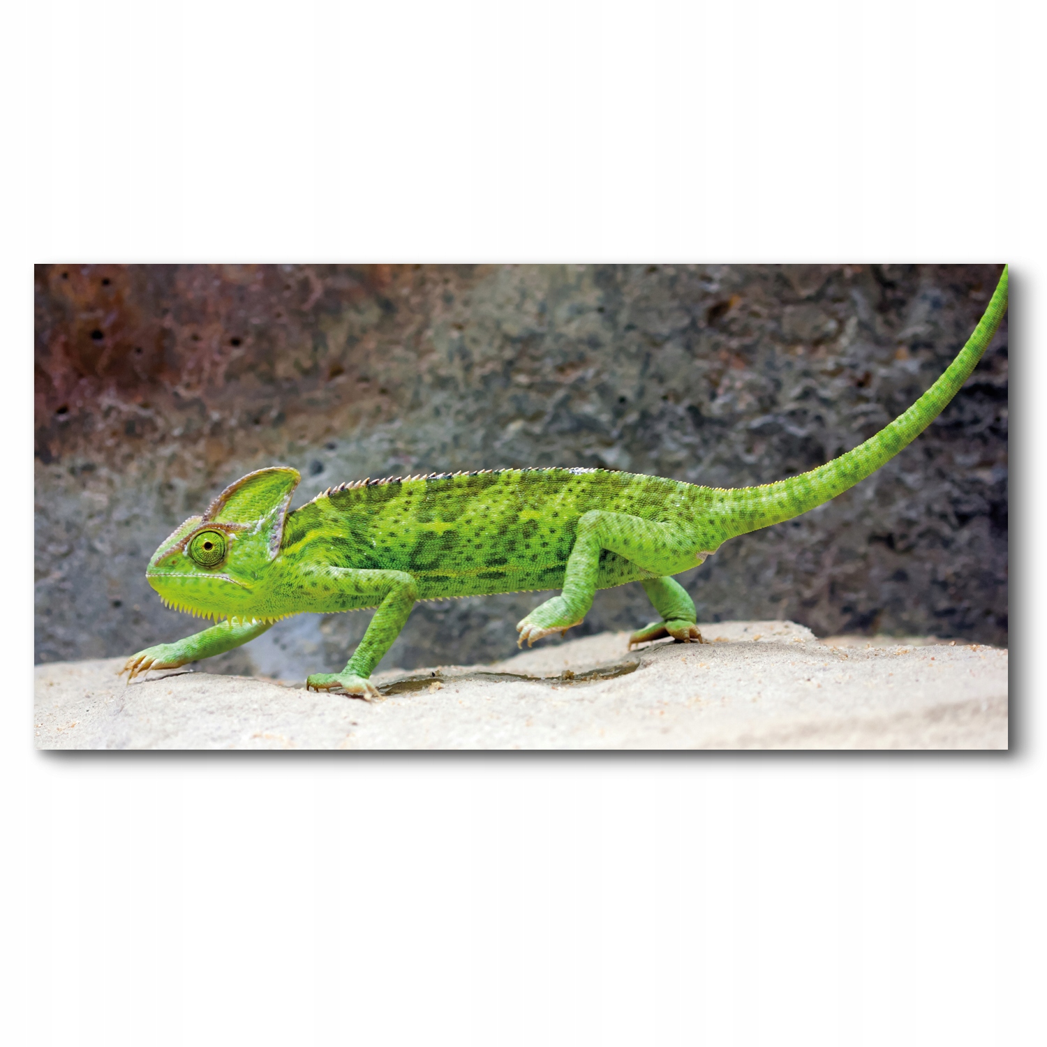 Chameleonské skály 140x70 Tisk na plátno na zeď