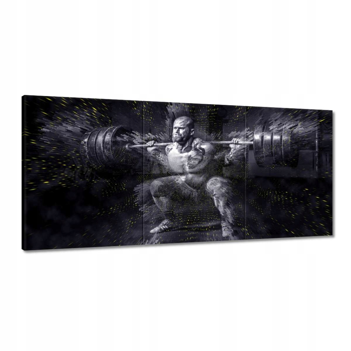Obrazy 210x100 Strongman Posilňovňa Sila
