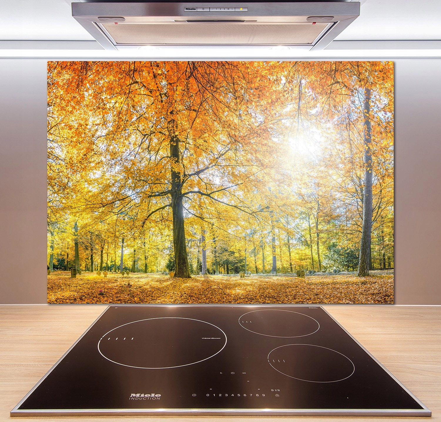 

Panel dekor szkło Las jesienią 100x70 cm + Klej