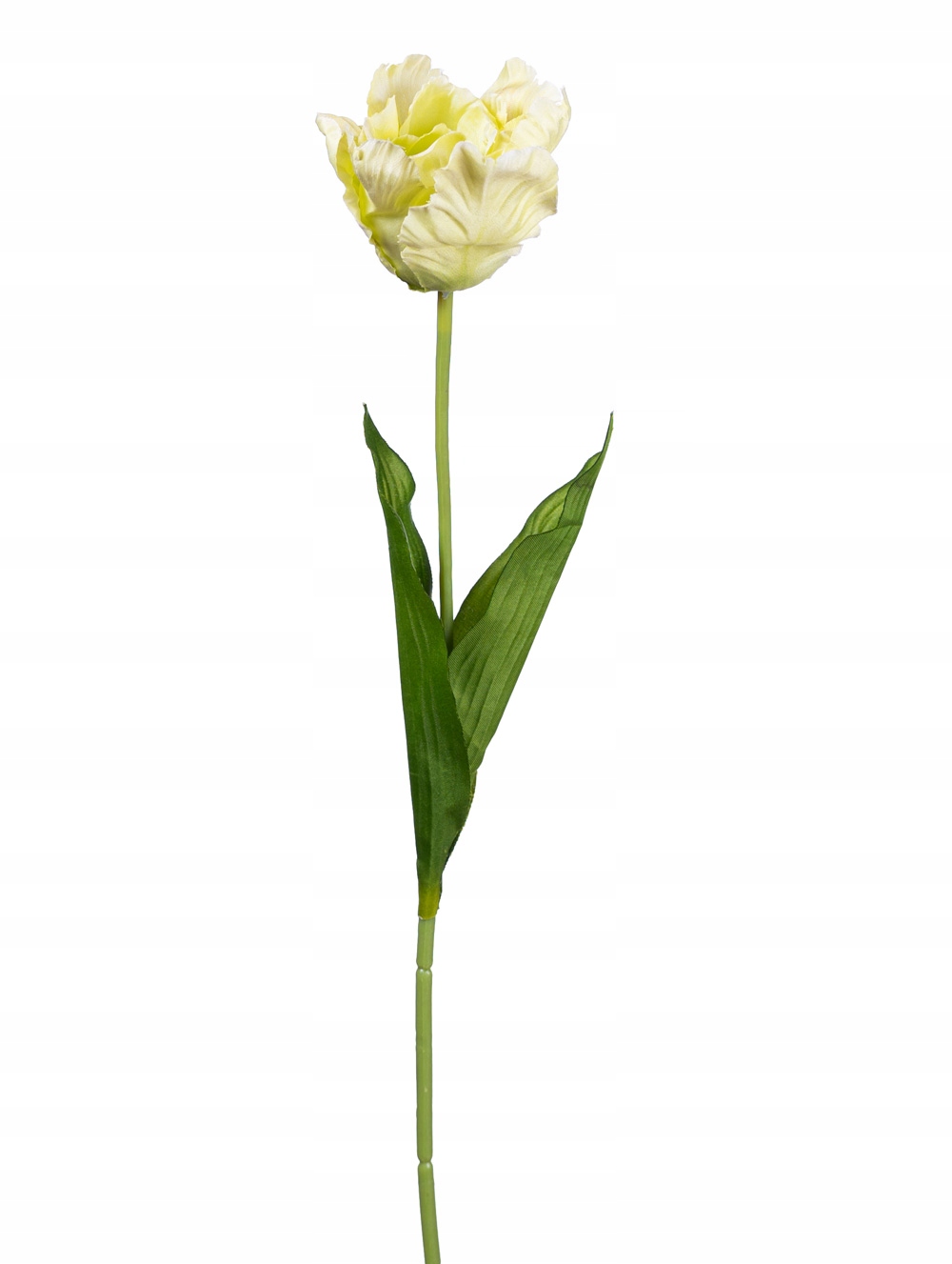 

Tulipan zielony gałązka tulipany sztuczne