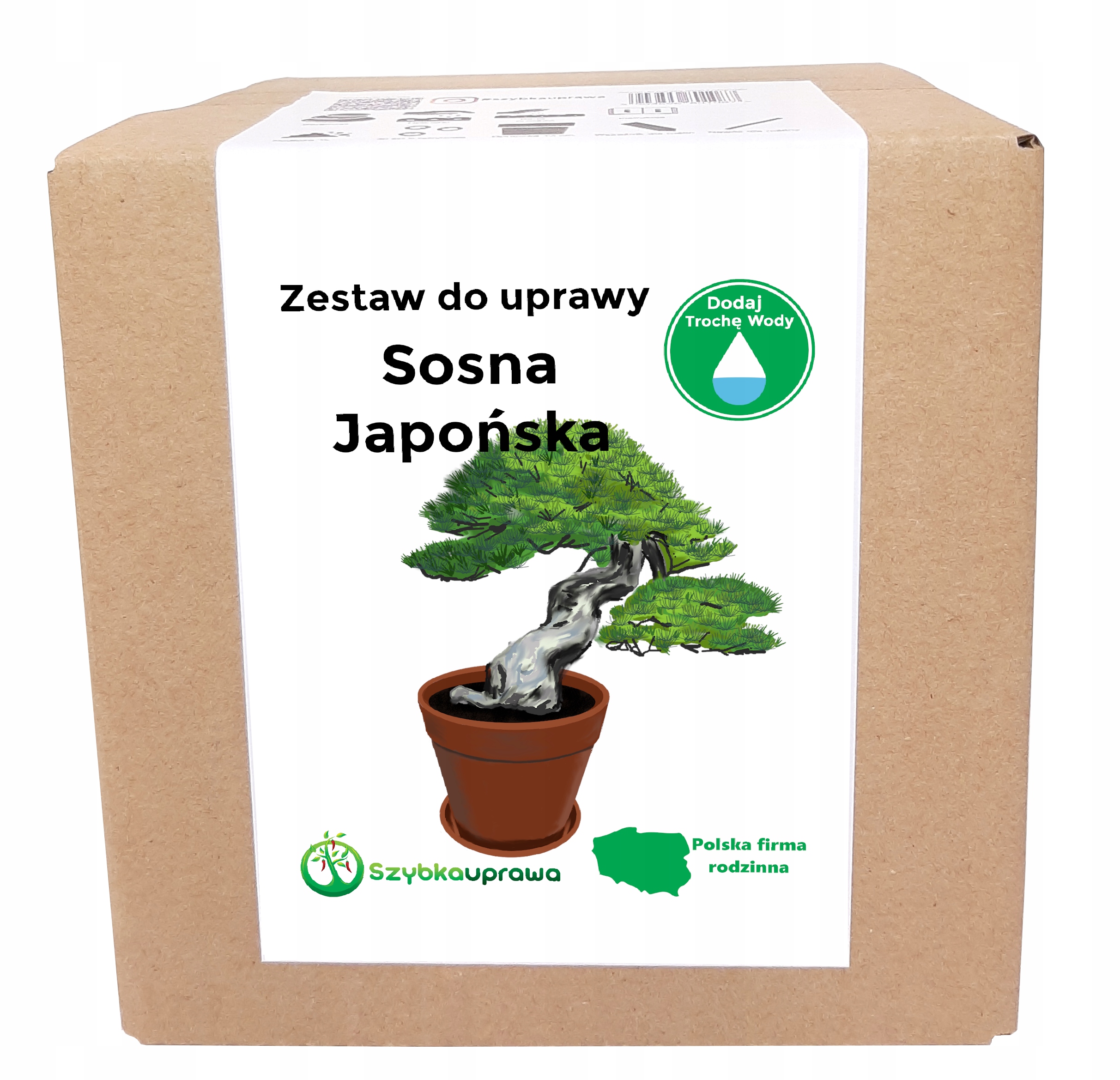 

Zestaw do Uprawy Bonsai sosna japońska X
