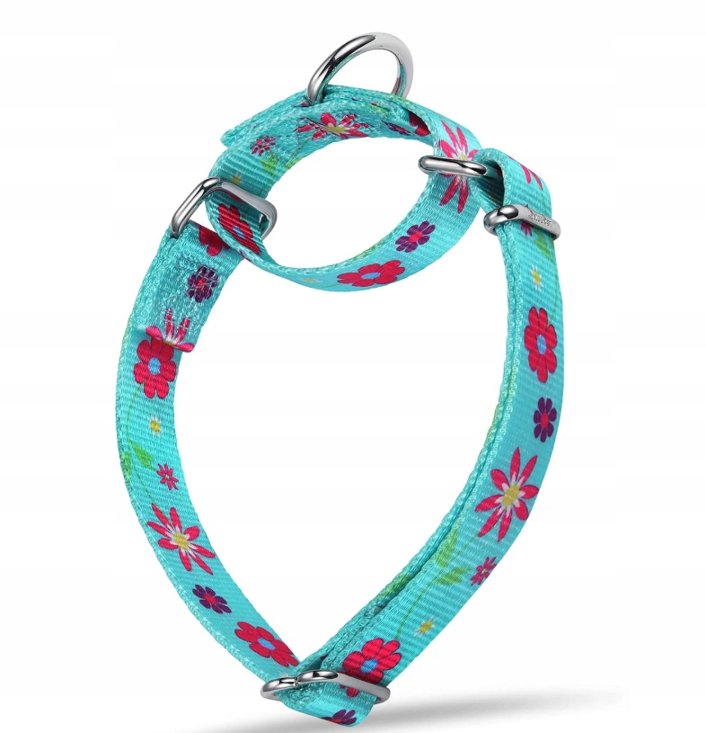 Levně Obojek pro psa Dazzber Martingale s potiskem