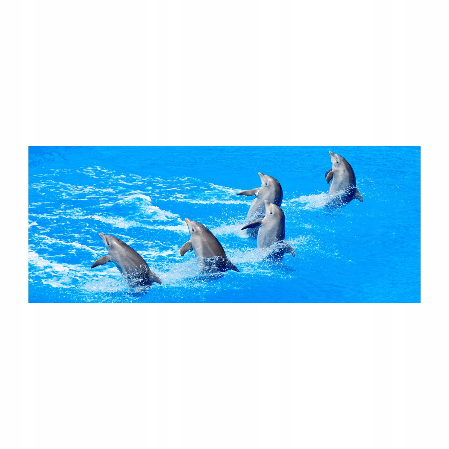 

Foto obraz na szkle akrylowym Delfiny 125x50 cm