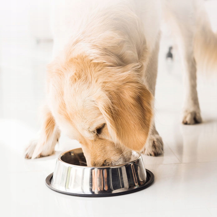 PRZYSMAK DLA PSA ALPHA SPIRIT NOGA WIEPRZOWA Marka Alpha Spirit