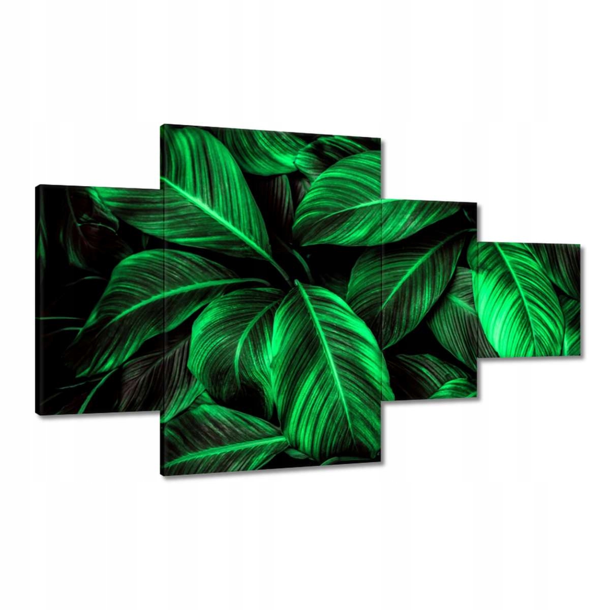 Obrazy 130x80 Zelené listy