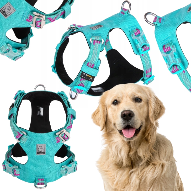 Levně Voděodolné Obojky Pro Psa Lehké Truelove Adventure Dog Modré XL