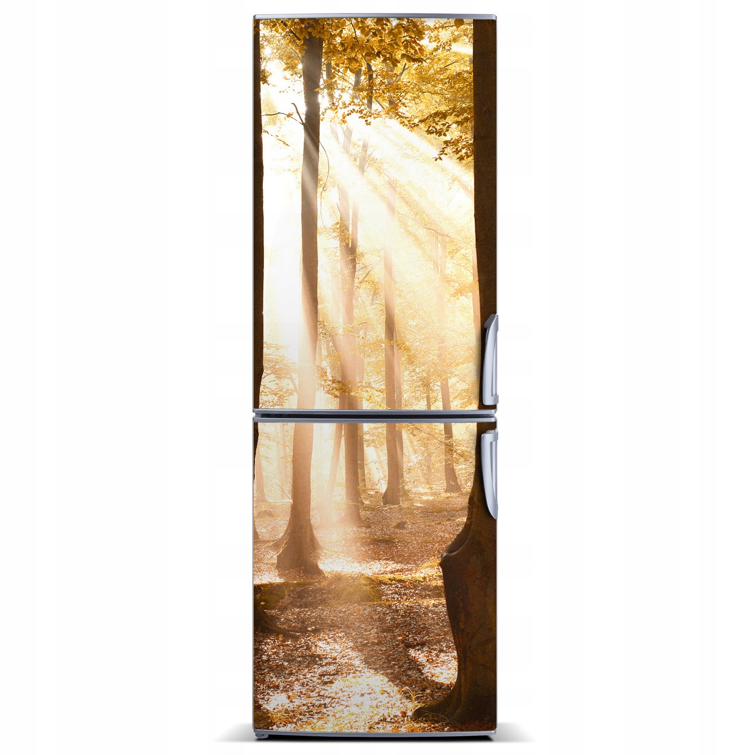 

Magnes na lodówkę magnetyczna Las jesienią 60x180