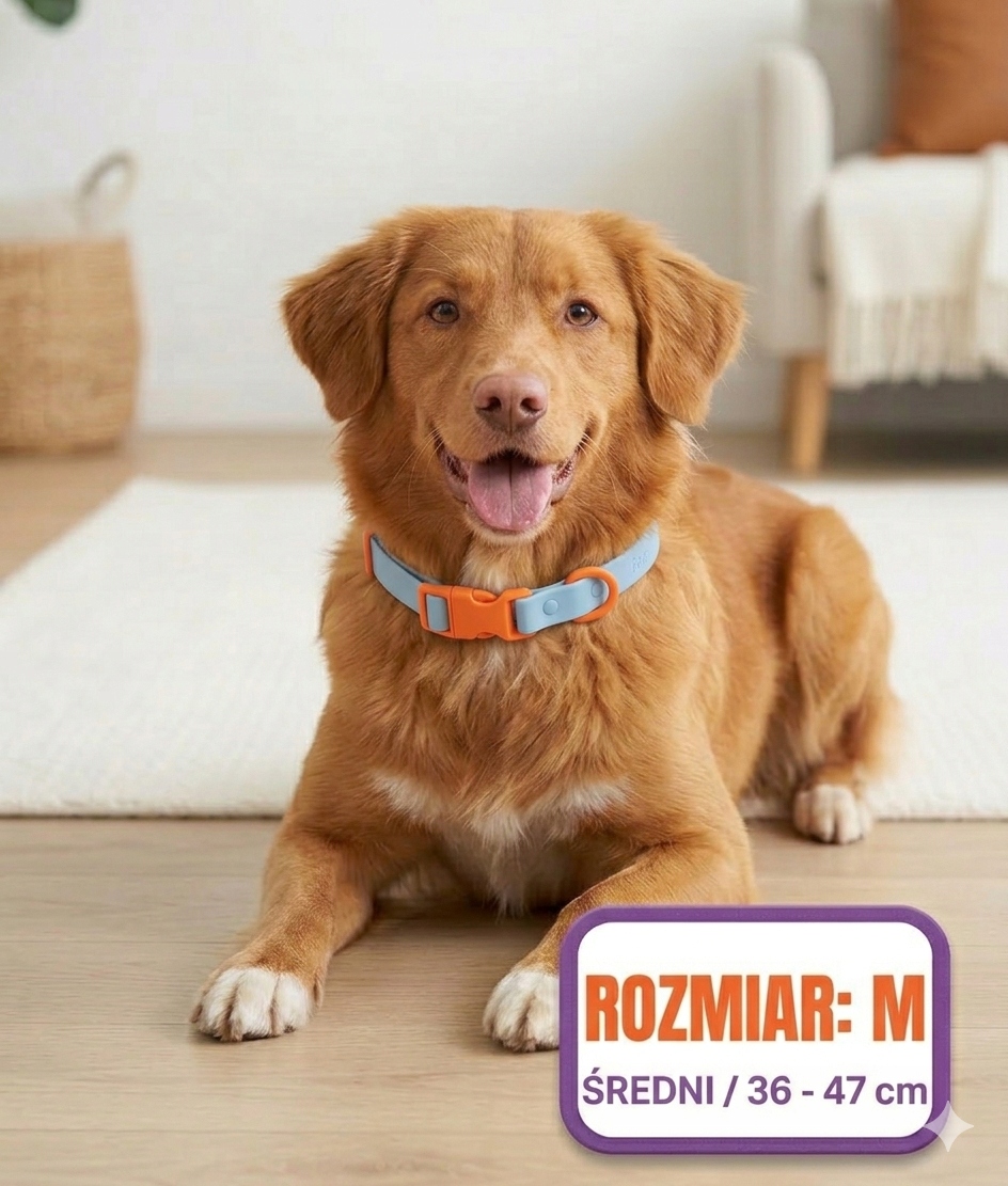 Levně Voděodolný obojek pro psa Velikost M Regulovatelný Odolný Modrý Pvc