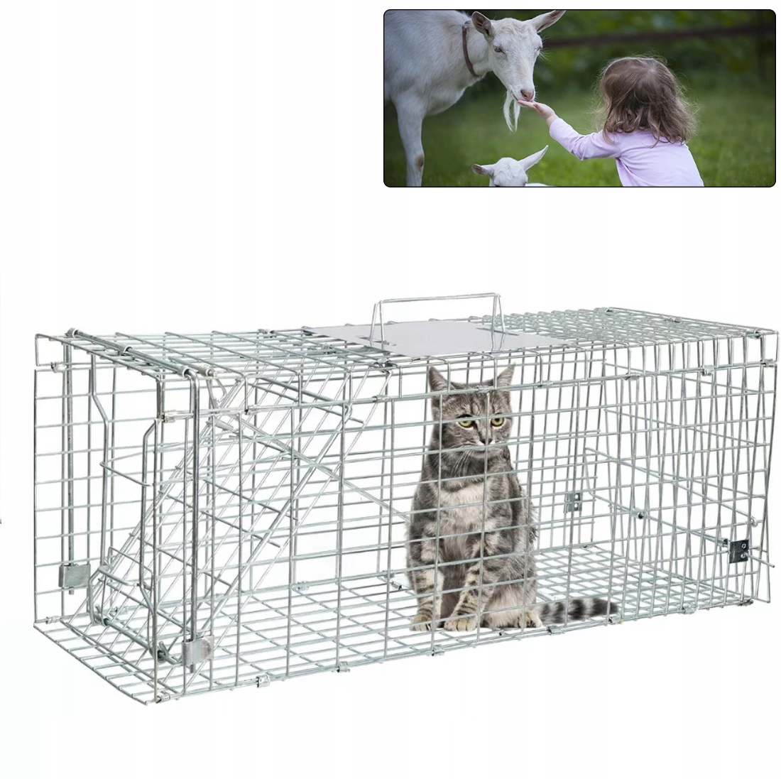 Skuteczna Żywołapka Kuny Szczury Łaski Norki Łapka