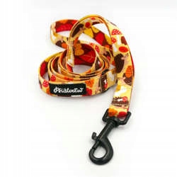 Levně Vodítko pro psa Ježek Snílek 160 cm