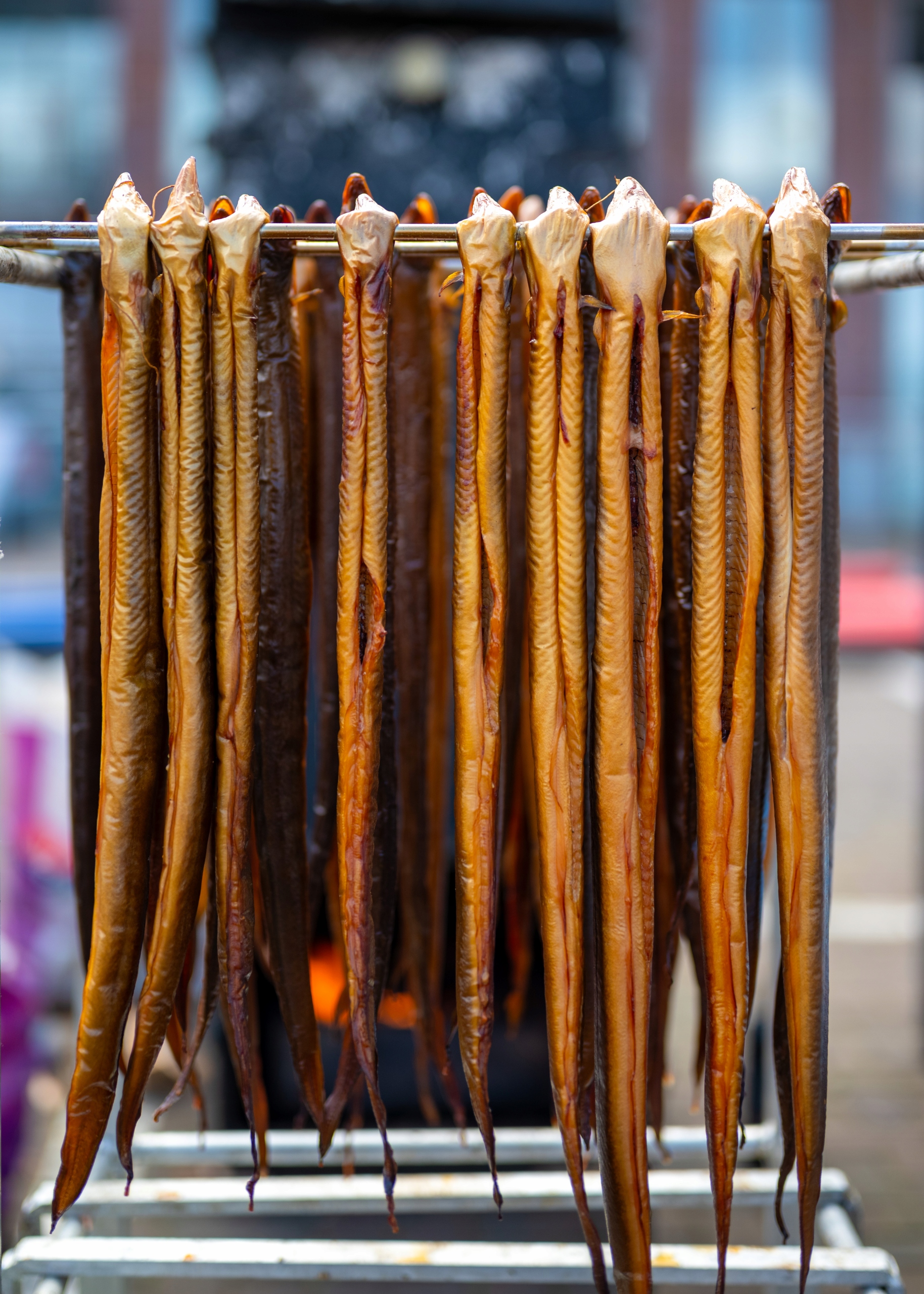 Uzený úhoř z Polské jezer Tradiční chuť Aroma Přírodní Uzení