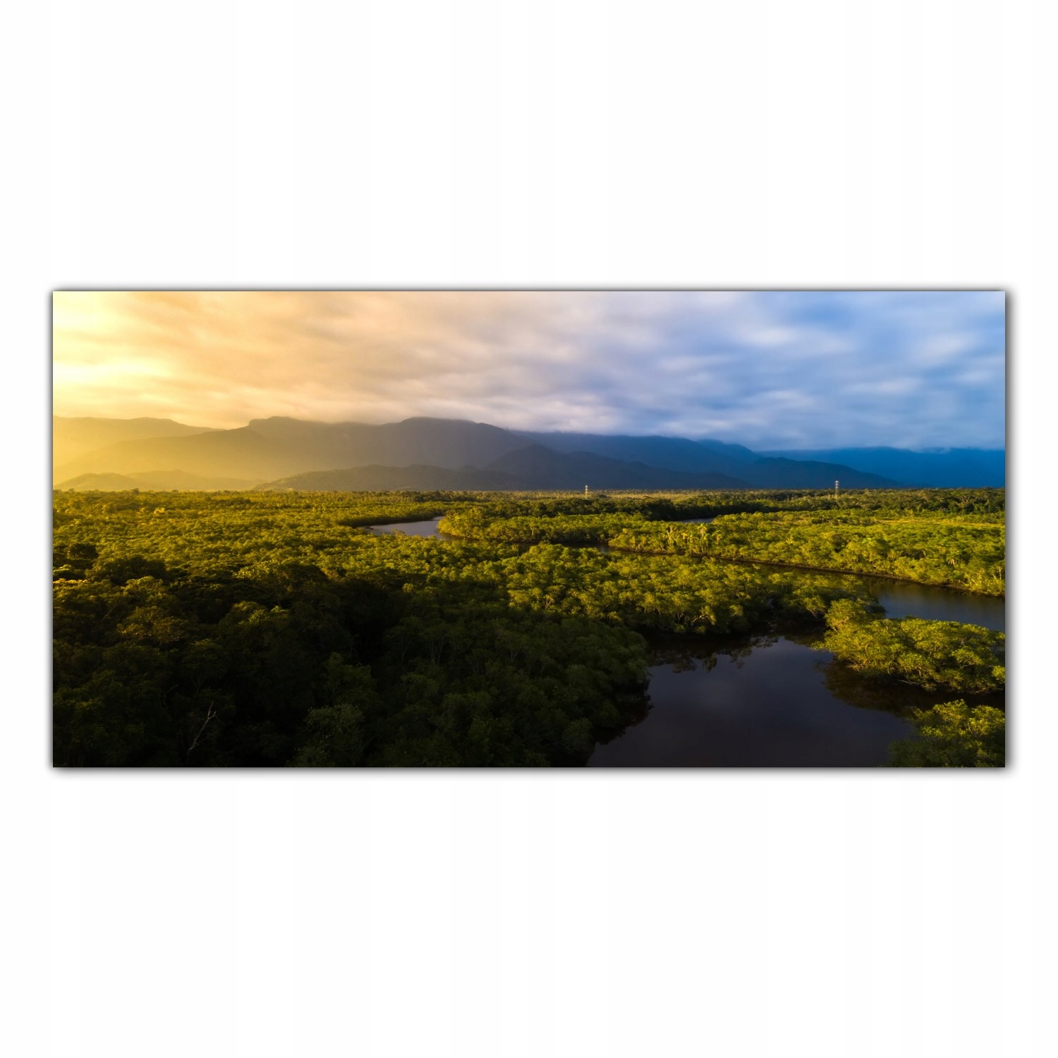 Deštný prales Tropiki 120x60 Panel sklo do kuchyně