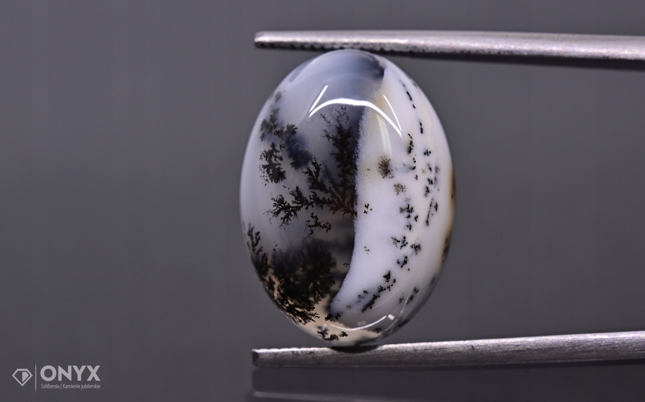 Dendritový achát z Turecka kabošon ovál 18x13 mm