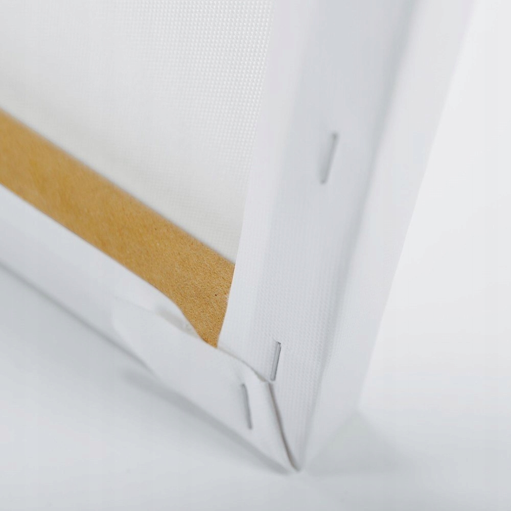 Obraz na płótnie, Dwa pluszowe misie - 30x30 Kolor Inny