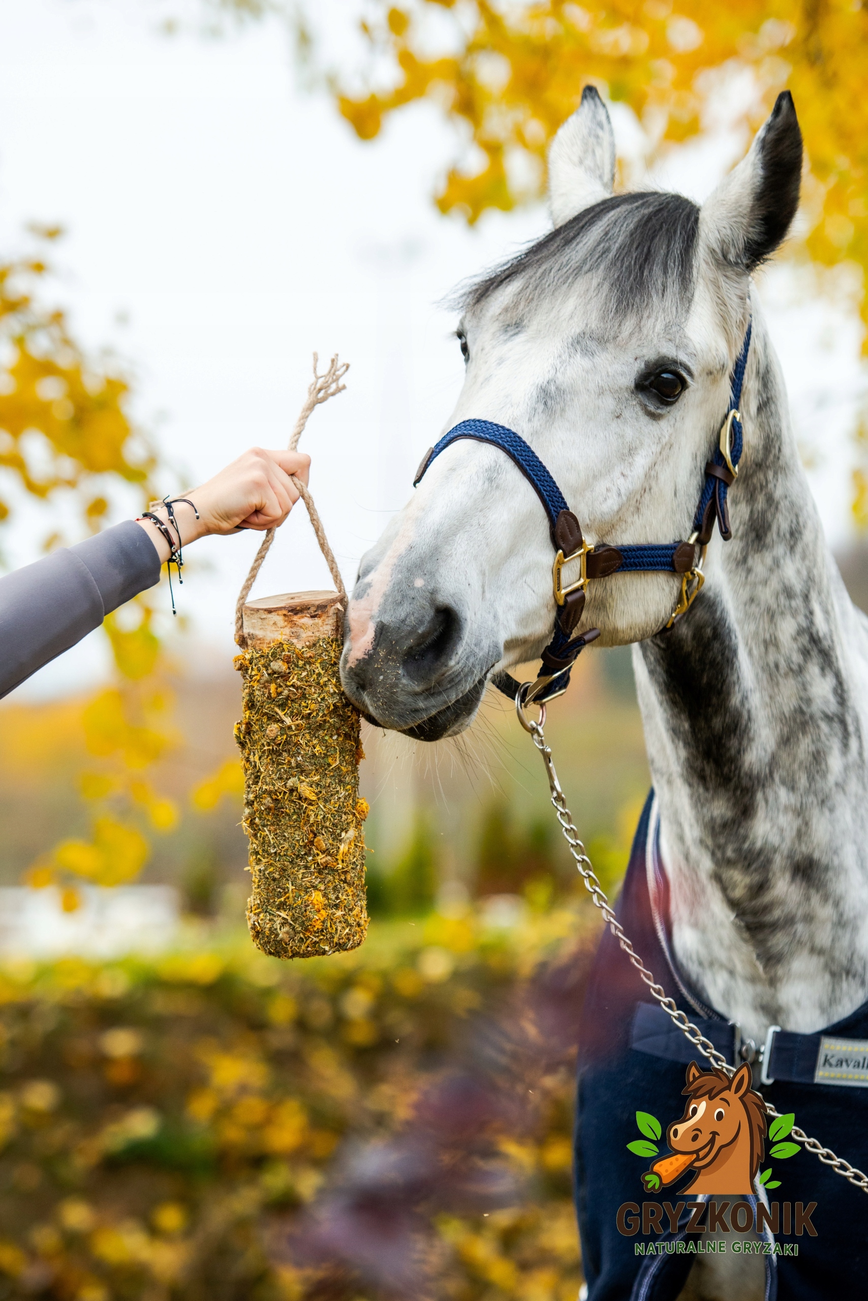 Gryzkonik Naturalny gryzak dla koni Spokojna Głowa